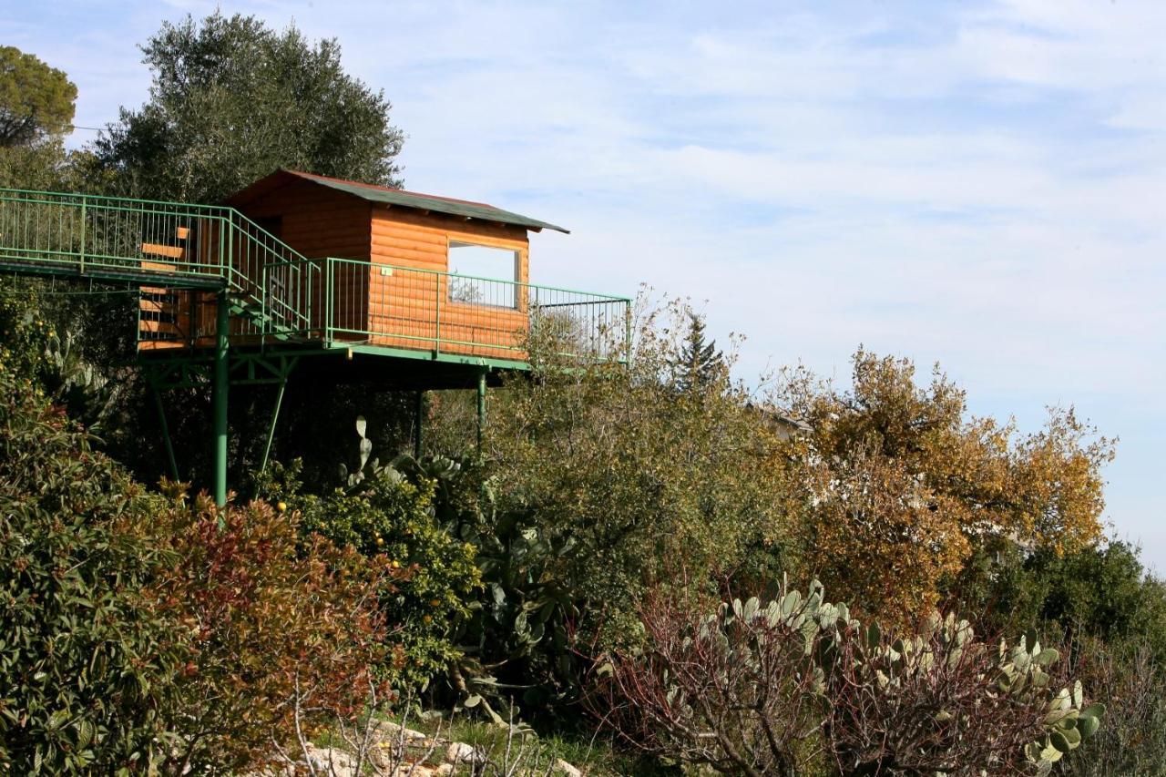 Villa Switzerland In Amirim Exterior foto